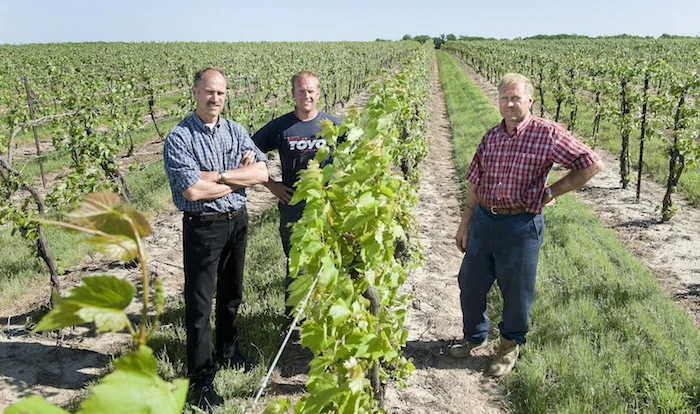 Grape Growers of Ontario