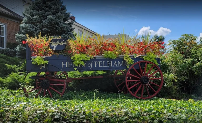 Screen Capture 153 henry of pelham Google Search www.google.com  768x468