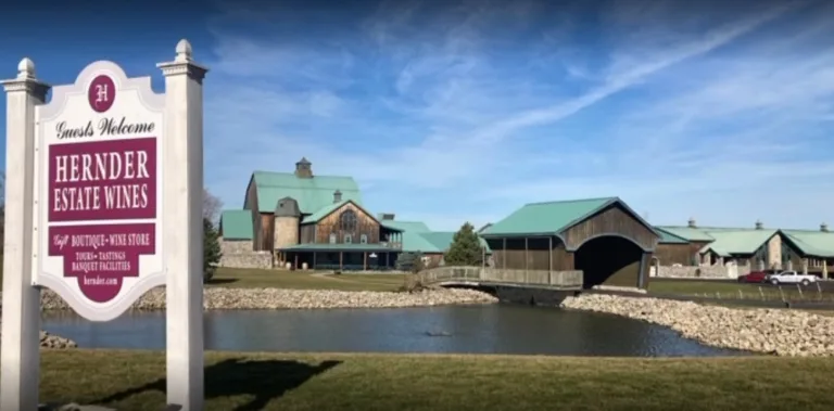 Screen Capture 155 hernder estates winery Google Search www.google.com  768x379