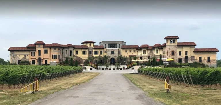 Screen Capture 159 colaneri estate winery Google Search www.google.com  768x365