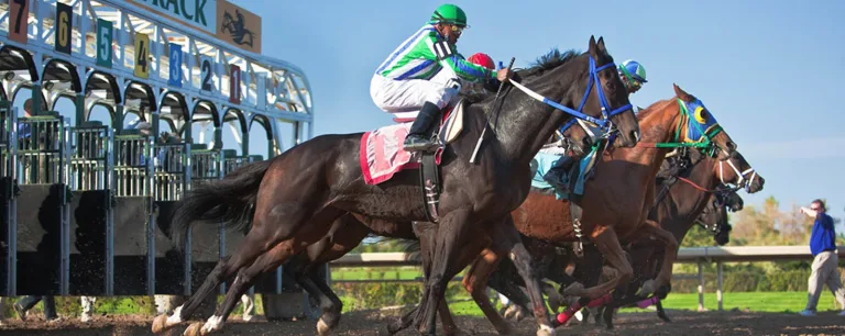 fortErieRaceTrack 768x306
