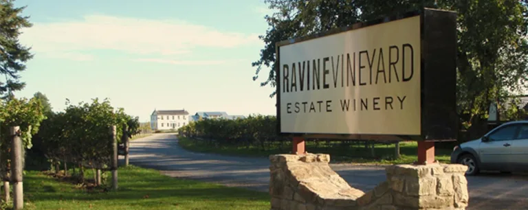ravineMain 768x306