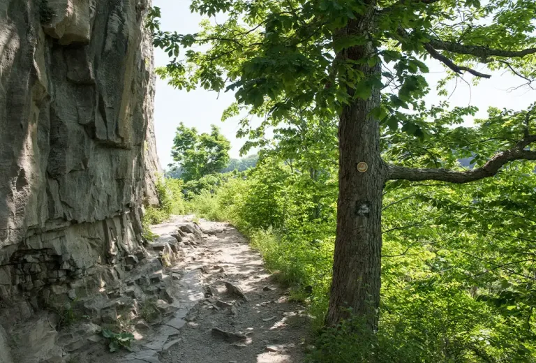 Trail Marker 768x520