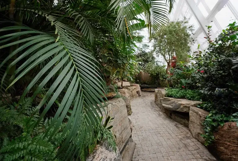 butterfly conservatory pathways 768x520