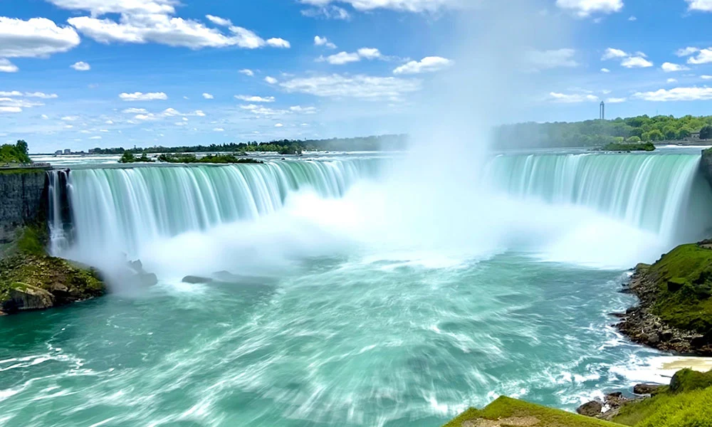 July 2022 Newsletter