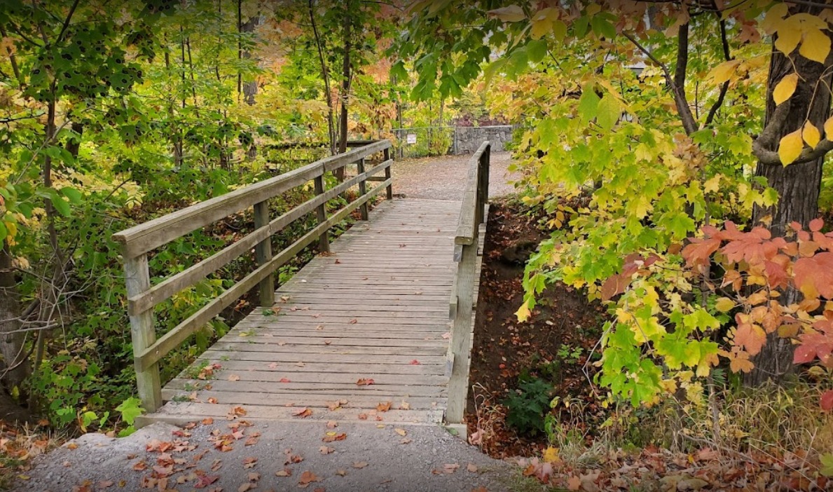 Screen Capture 220 balls falls conservation area Google Search www.google.com