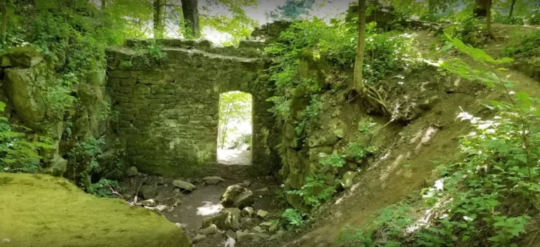 Screen Capture 221 balls falls conservation area Google Search www.google.com  768x352