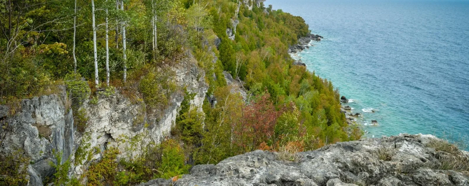 The Bruce Trail along the Niagara Escarpment