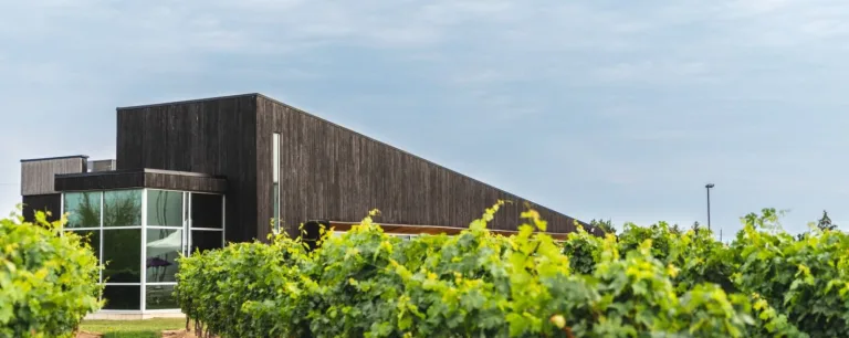 Lakeview Winery 768x306