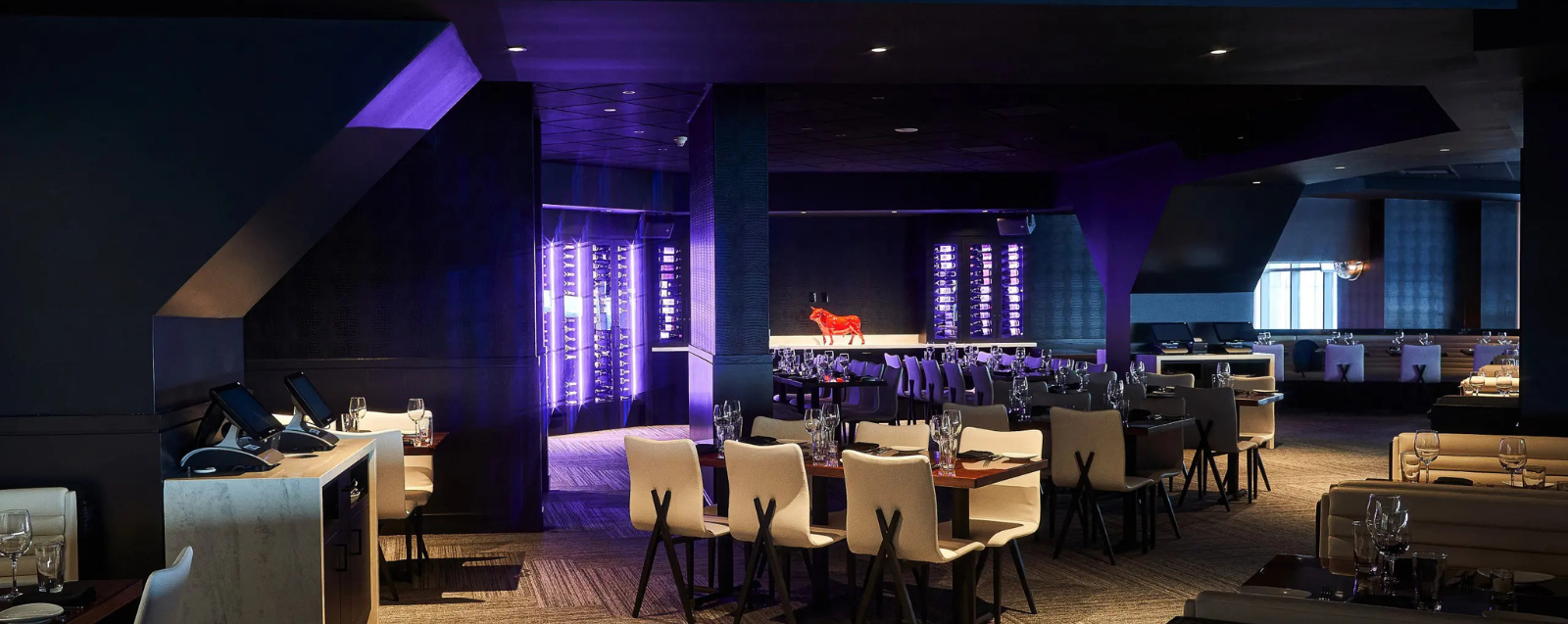 STK Steakhouse Evening