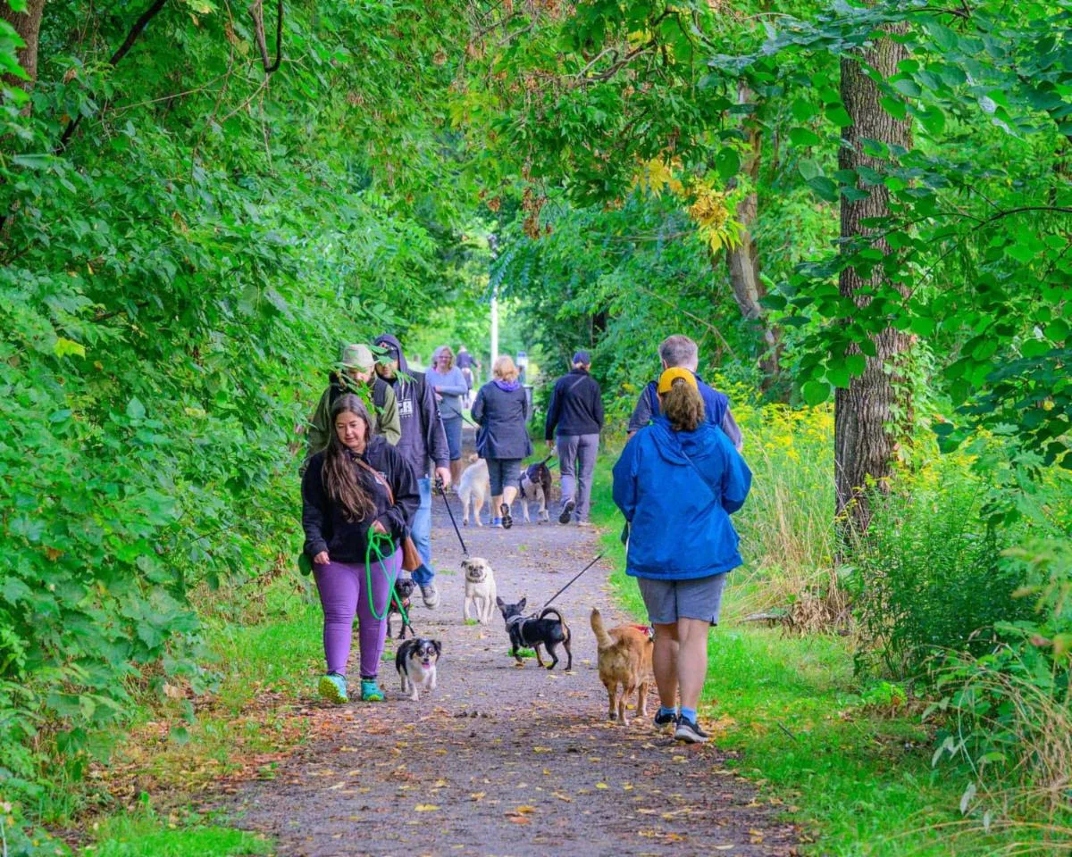 September 2025 Events in the Niagara Region