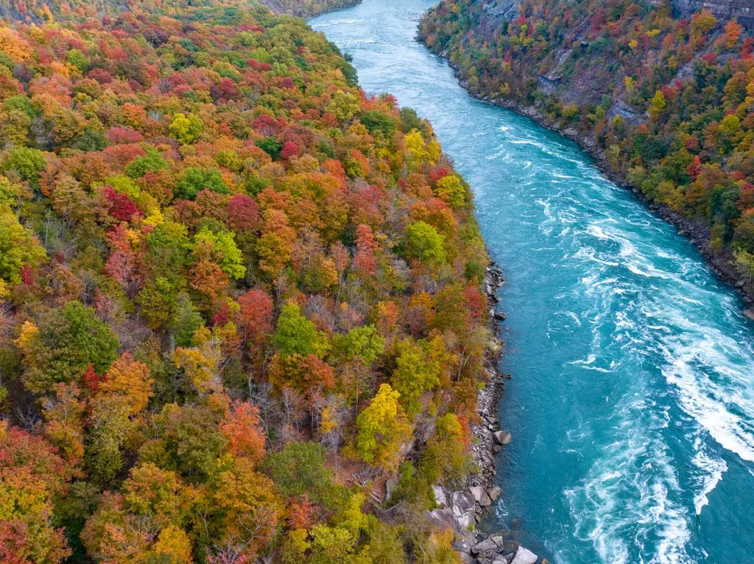 Niagara’s Best Deals – October 2025