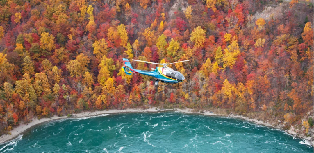 Partner Spotlight – November 2025