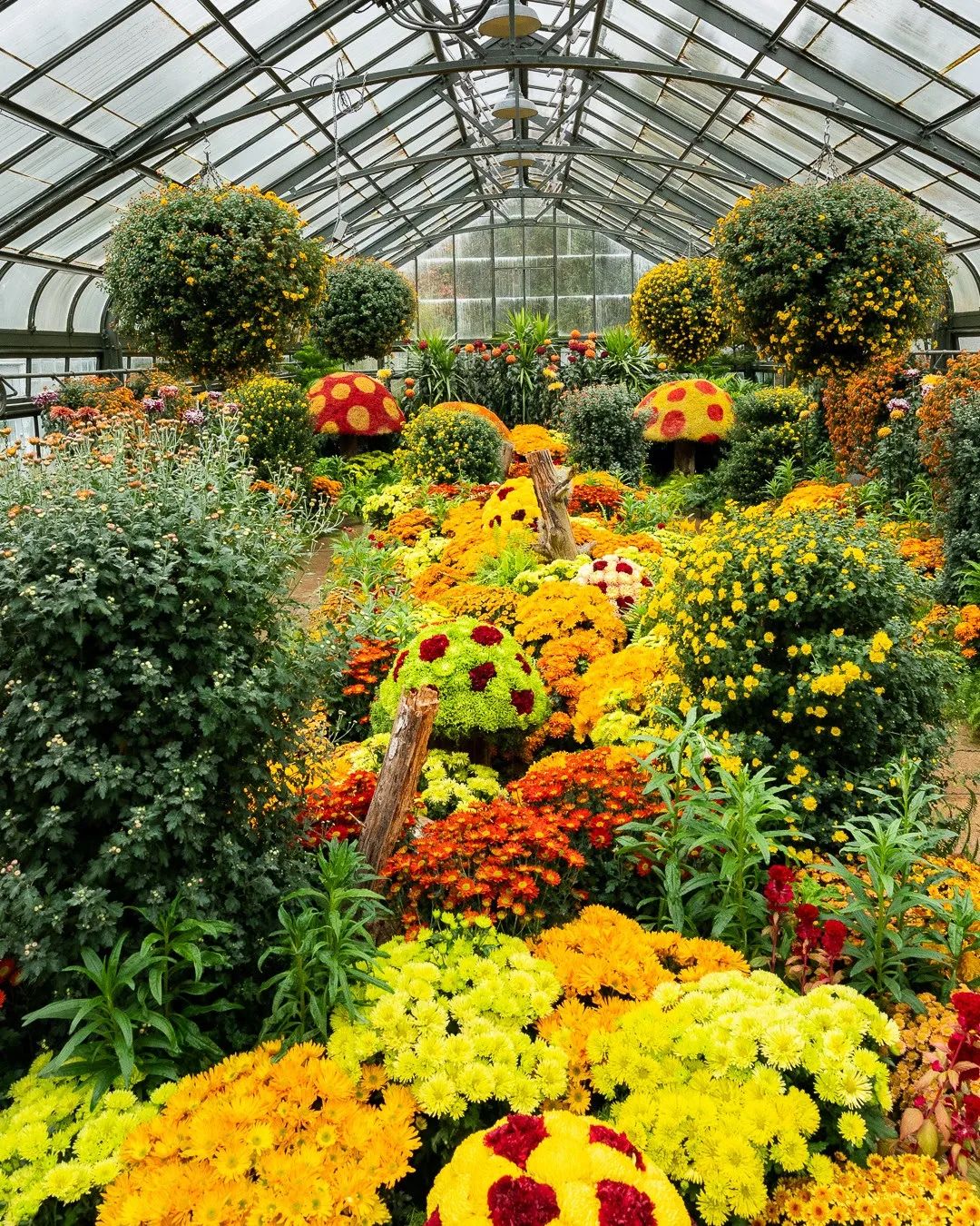 November Events in the Niagara Region