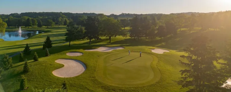 DNF Website Listings 2 1 768x306