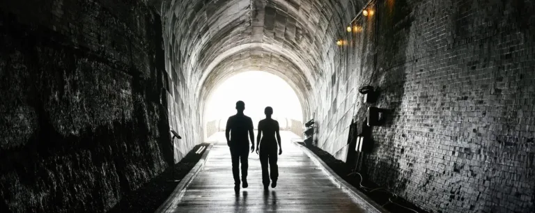 DNF Website Listings 4 1 768x306