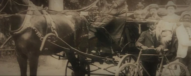 DNF Website Listings 8 1 768x306