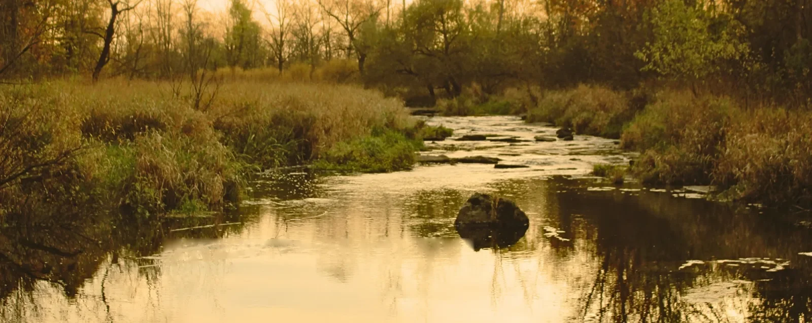 A Niagara creek at golden hour with autumn trees reflected in the water