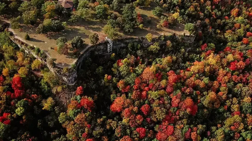 The Niagara Escarpment in full autumn colour, seen from above