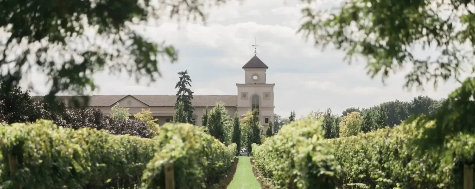 Niagara’s Terroir Story: From Icewine to Innovation